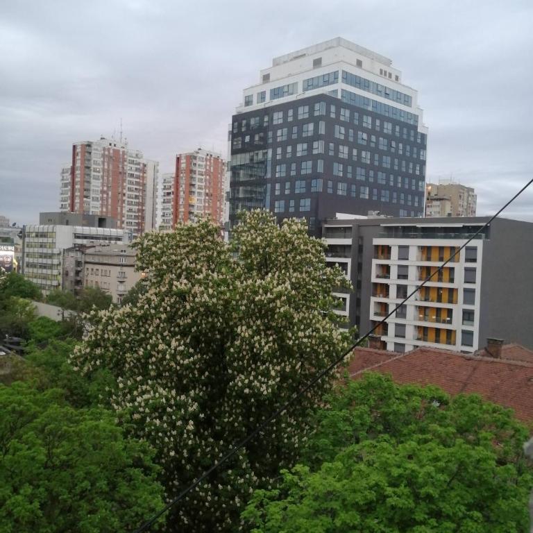 Caviar - Apartman sa 1 Spavaćom Sobom - 8