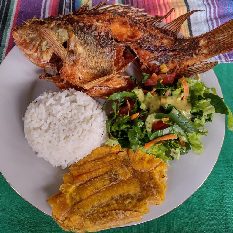 Villa Falian Nido el Gorrión - Family Room with Lake View - 16