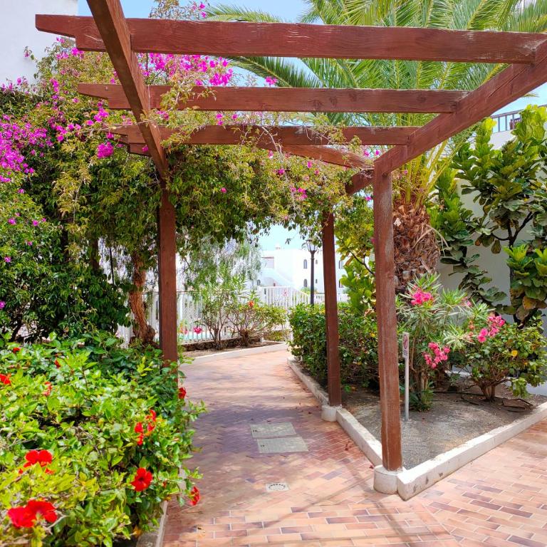 Flor De Cactus - Apartamento de 1 dormitorio - 2