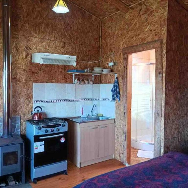 Cabaña pumillahue rural - Apartamento de 1 dormitorio - 12