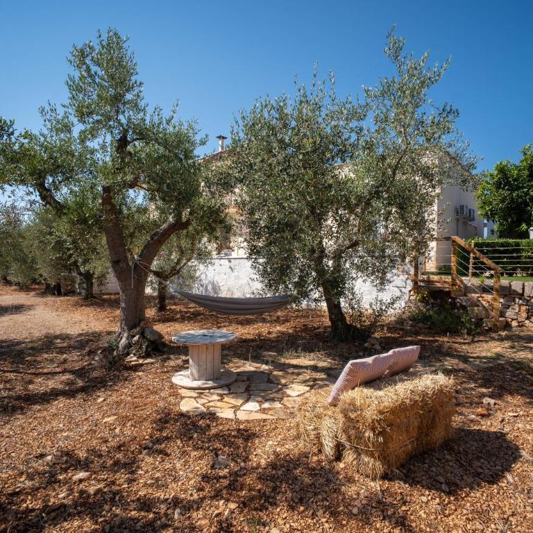 Porta Sugli Ulivi - Casa Vacanze - 11