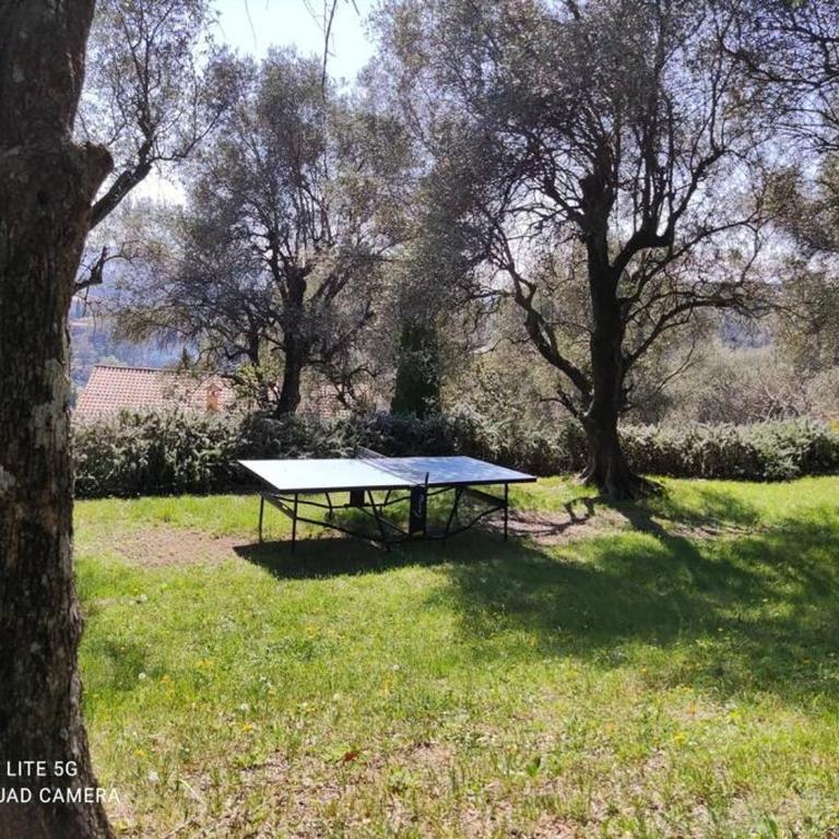 Apartment Fragonard with heated pool and large private terrace - Appartement 2 Chambres - 35