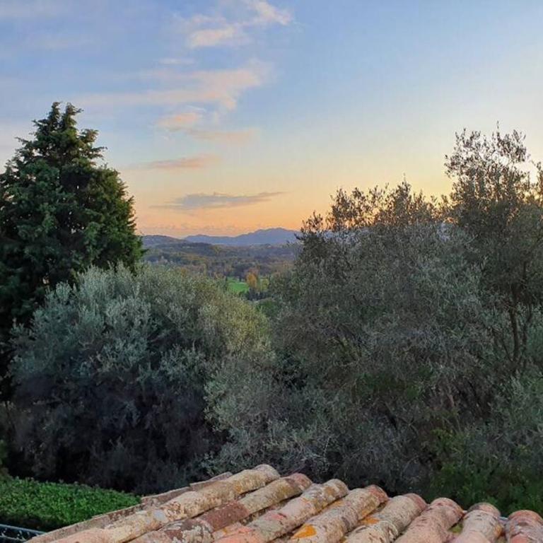 Apartment Fragonard with heated pool and large private terrace - Appartement 2 Chambres - 41