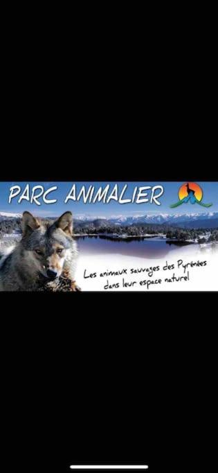Appartement avec vue sur le lac de matemale - Appartamento con 1 Camera da Letto - 14