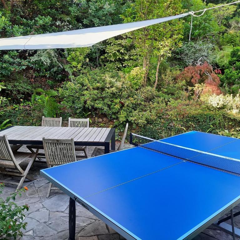Villa élégante, jardin bucolique, proche golf & plages, 4 étoiles - FR-1-239-698 - Maison 3 Chambres - 12