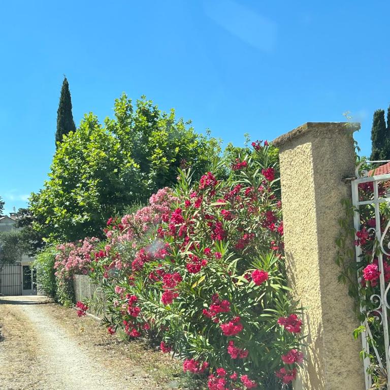 Clos Des Plages Maison De Vacances - Maison 3 Chambres - 4