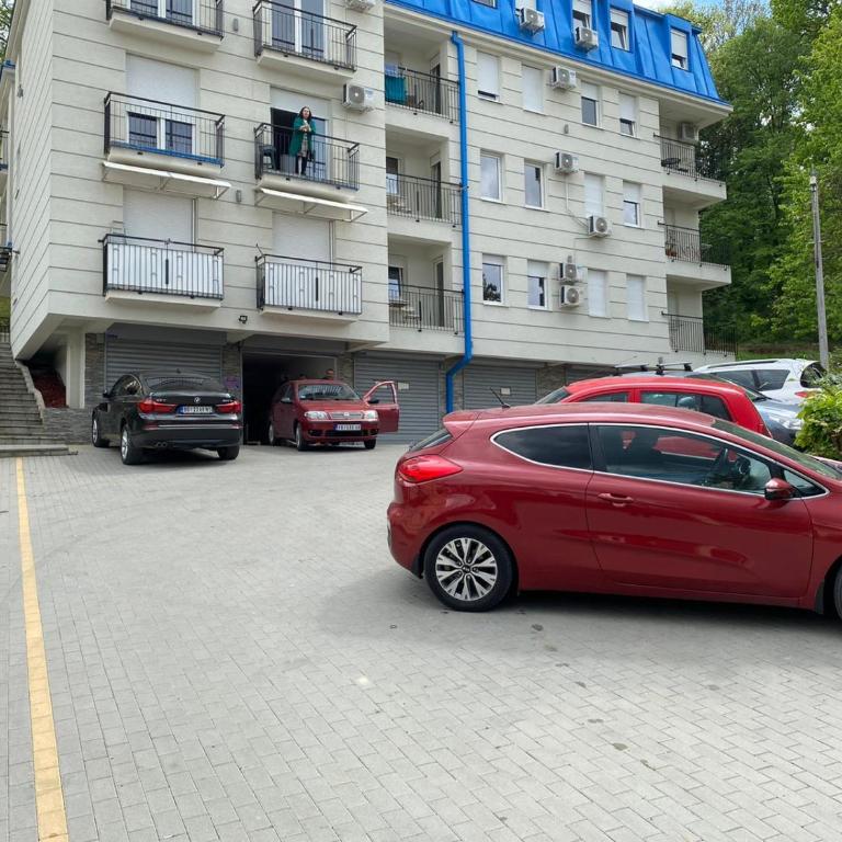 Apartmani CENTAR Vrnjacka Banja & Free Parking - One-Bedroom Apartment - 28