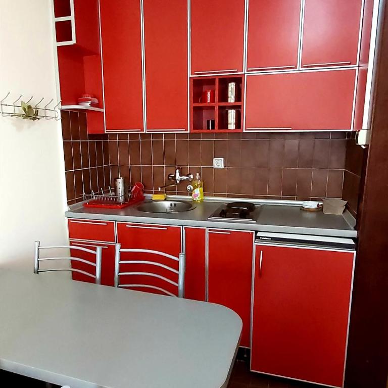 Sunčani apartman 1-Vila Amfora - Apartment with Terrace - 4