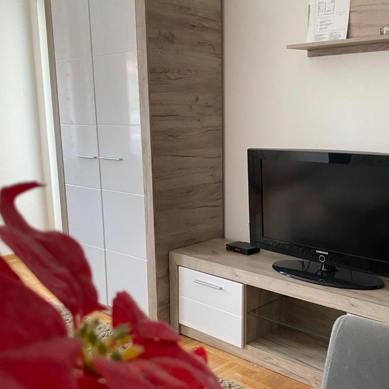 Apartmani CENTAR Vrnjacka Banja & Free Parking - One-Bedroom Apartment - 23