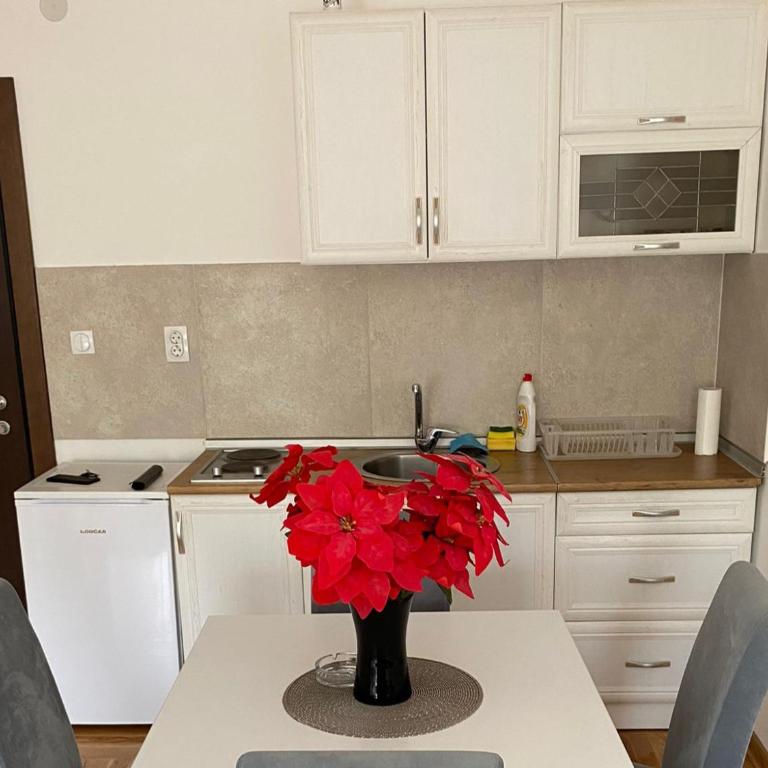 Apartmani CENTAR Vrnjacka Banja & Free Parking - One-Bedroom Apartment - 20