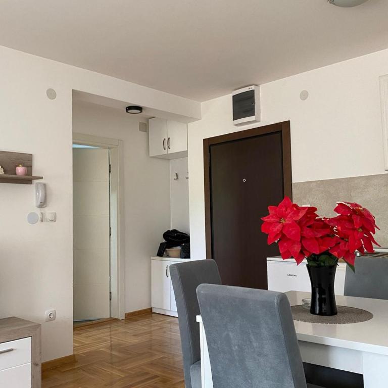 Apartmani CENTAR Vrnjacka Banja & Free Parking - One-Bedroom Apartment - 19
