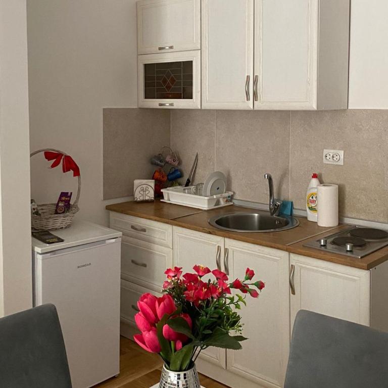 Apartmani CENTAR Vrnjacka Banja & Free Parking - Studio with Balcony - 2