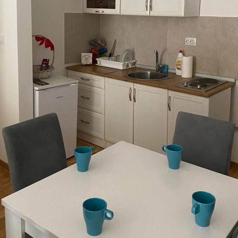Apartmani CENTAR Vrnjacka Banja & Free Parking - Studio with Balcony - 14