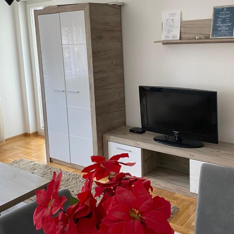 Apartmani CENTAR Vrnjacka Banja & Free Parking - One-Bedroom Apartment - 1