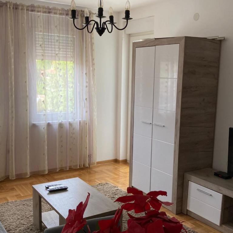 Apartmani CENTAR Vrnjacka Banja & Free Parking - One-Bedroom Apartment - 9