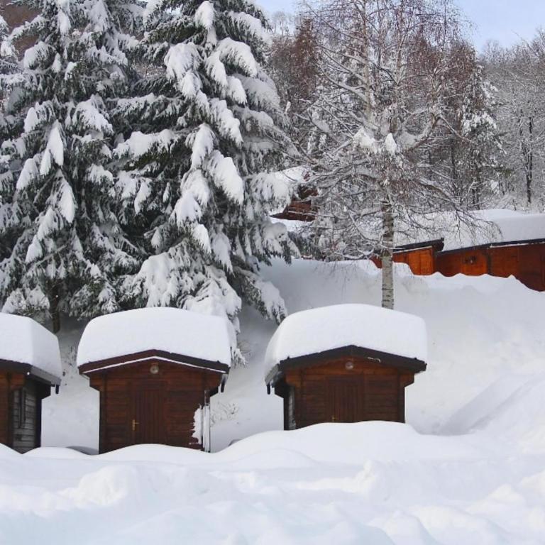 Camping Yoghi e Bubu - Bungalow avec Salle de Bains Commune - 11