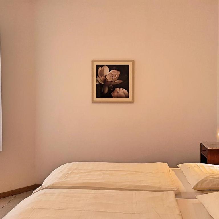 Casa Sandra Bertolini - Camera Matrimoniale/Doppia con Letti Singoli con Bagno Privato - 2