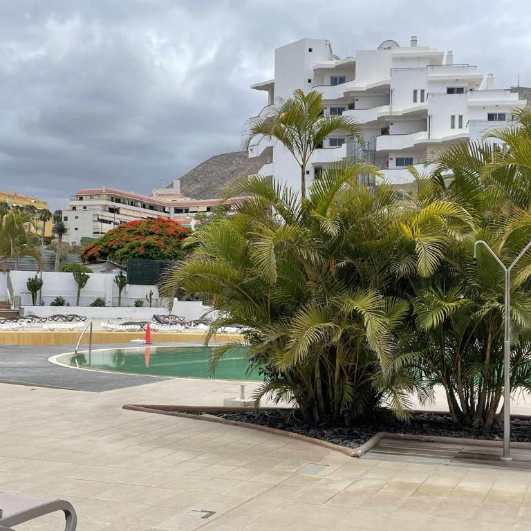 San Marino Los Cristianos Marcus Management - Apartamento - 41
