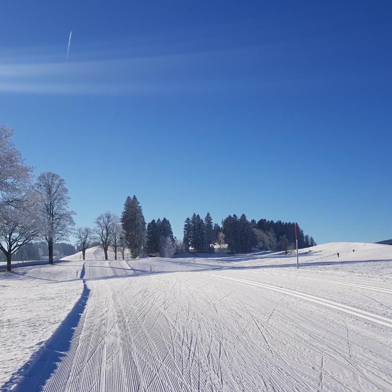 Ferienwohnung im kuhlen Allgäu - One-Bedroom Apartment - 24