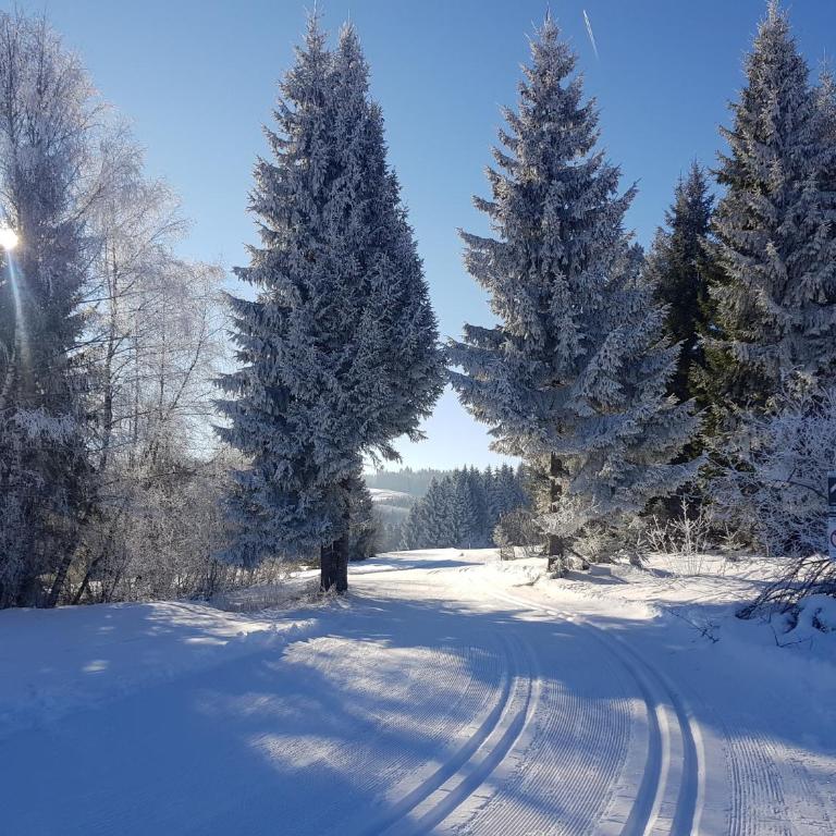 Ferienwohnung im kuhlen Allgäu - One-Bedroom Apartment - 36