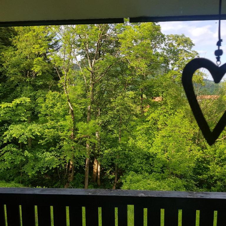 Ferienwohnung im kuhlen Allgäu - One-Bedroom Apartment - 28