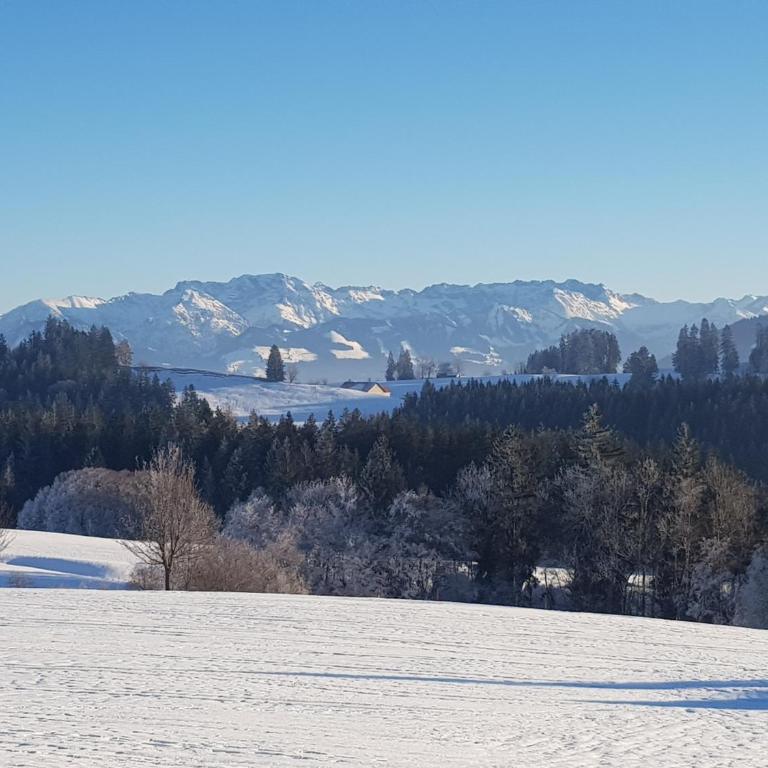 Ferienwohnung im kuhlen Allgäu - One-Bedroom Apartment - 35