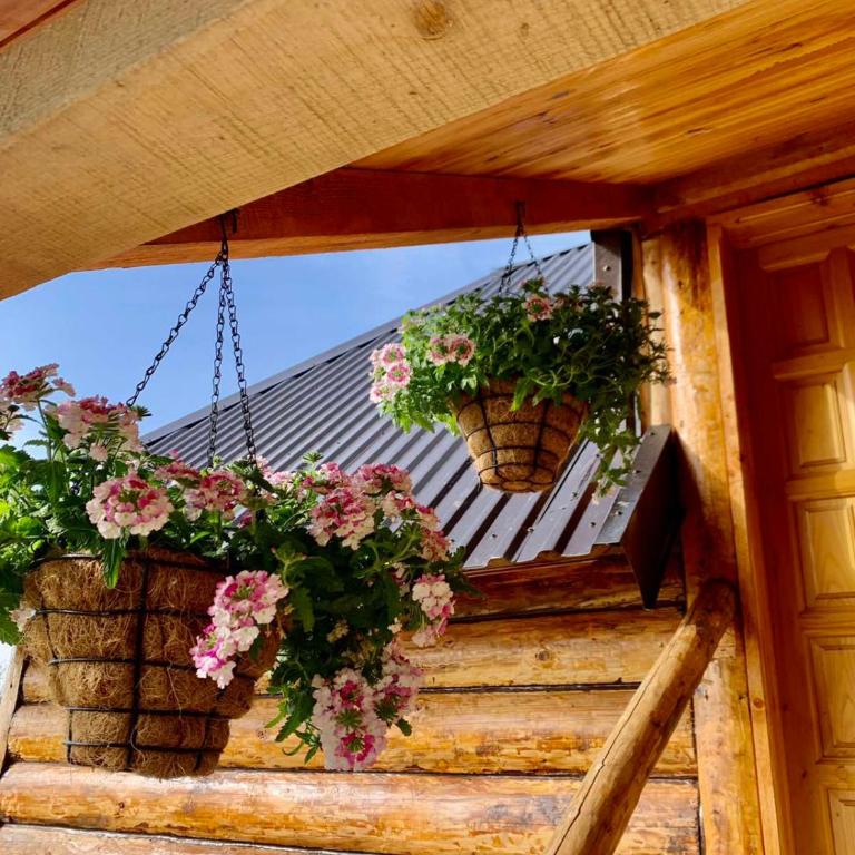 Brvnara Iskra Smrcevo brdo - Three-Bedroom Chalet - 48