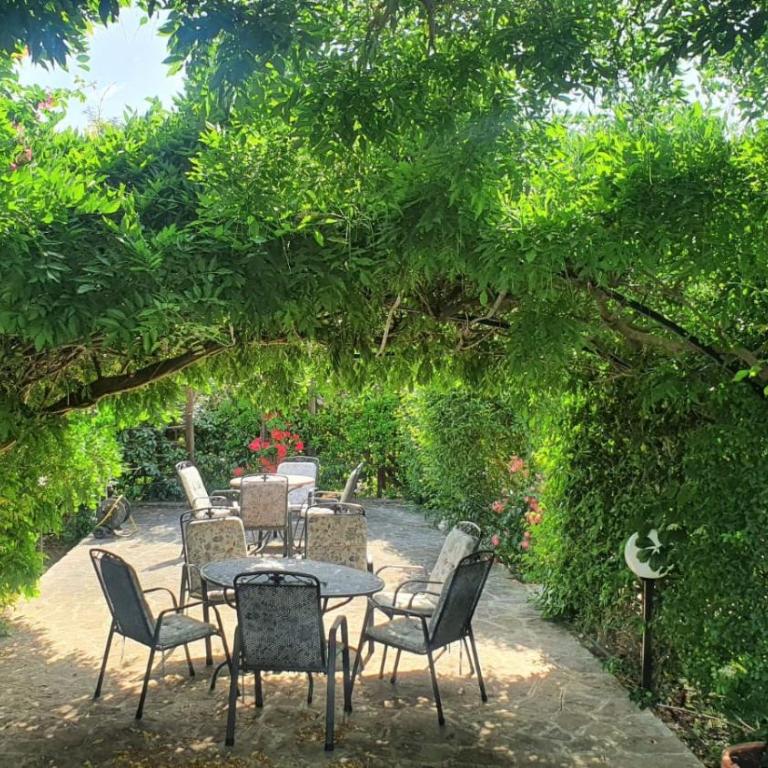 Trullo Leone - Casa Vacanze - 36
