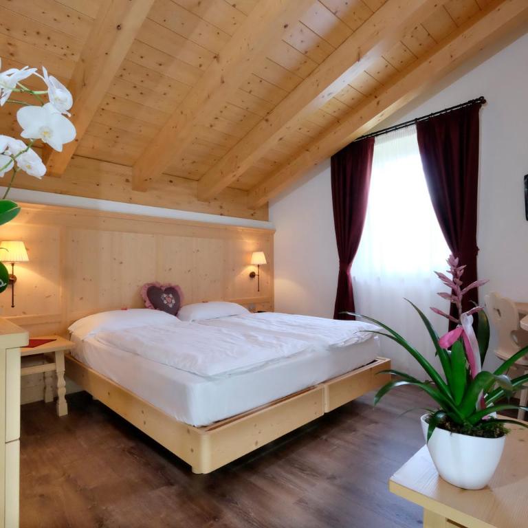Residence Nele - Apartamento Superior de 1 dormitorio - 5
