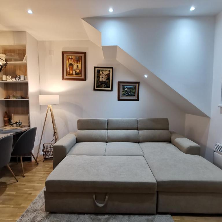 Silver Star Zlatibor - Apartman sa 1 Spavaćom Sobom - 42