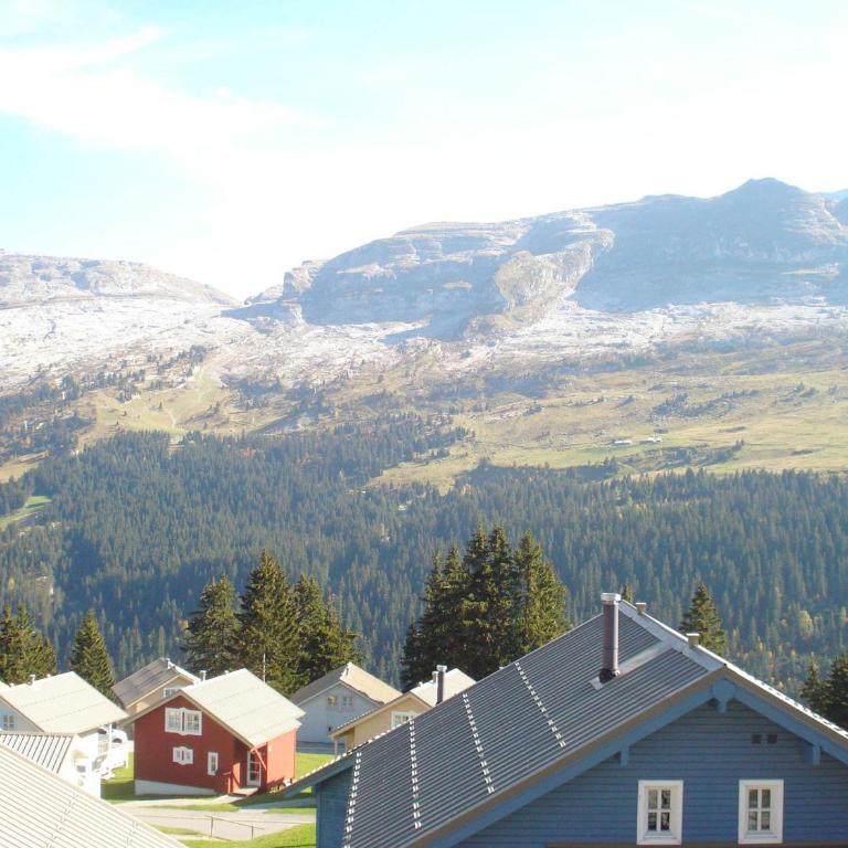 Studio lumineux avec balcon - Flaine - FR-1-425-160 - Studio - 11