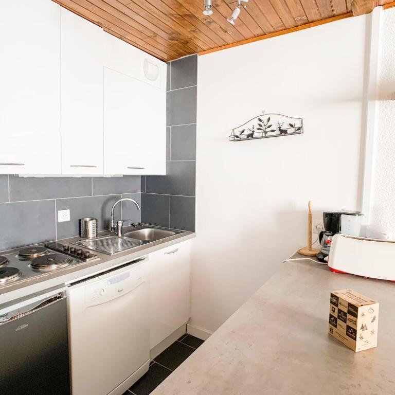 Appartement 2 pièces confortable, balcon, animaux acceptés - FR-1-502-285 - Appartamento - 11