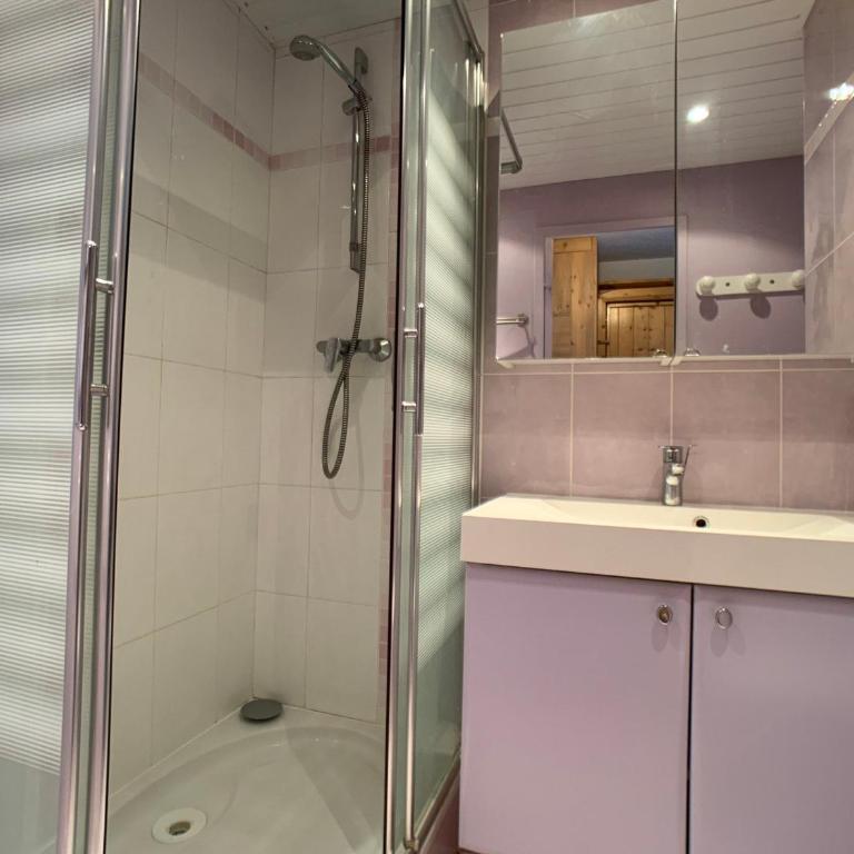 Studio rénové proche pistes et commerces avec balcon, animaux admis - FR-1-502-311 - Studio - 4
