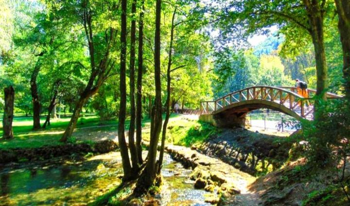 Apartman STARI GRAD - Apartman sa 1 Spavaćom Sobom - 25