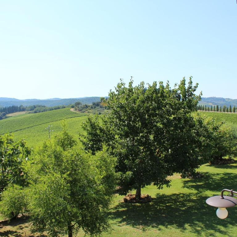 Villa La Francigena - Villa with Private Pool - 33