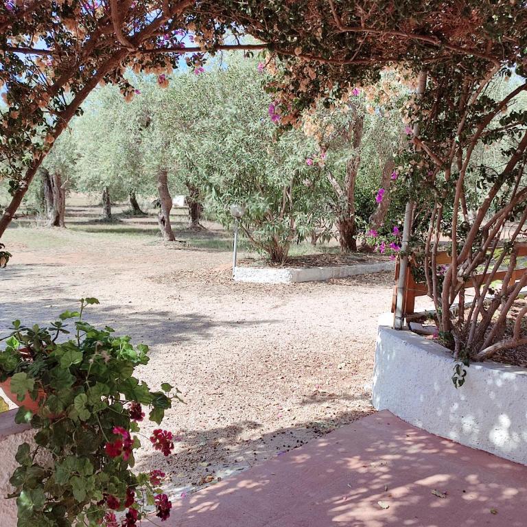 Alghero Guest House, Oasi tra gli Ulivi con Piscina e Fresche Suites in Seminterrato - Appartamento con 2 Camere da Letto e Terrazza - 45