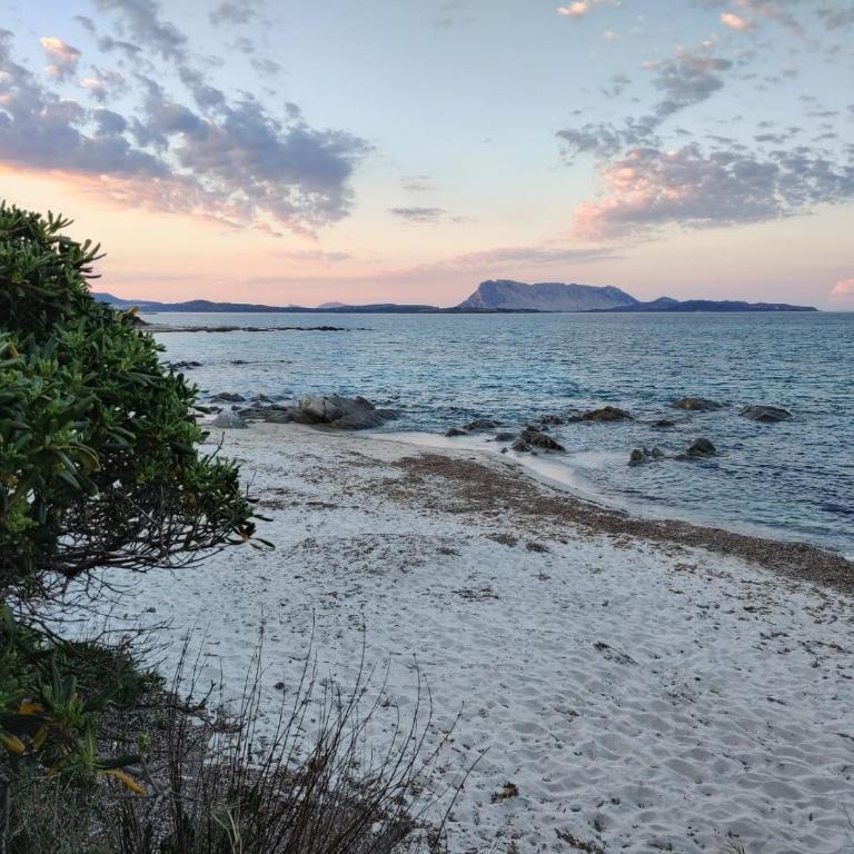 BouganVilla by the Beach - San Teodoro 1 - Villa con 3 Camere da Letto - 20