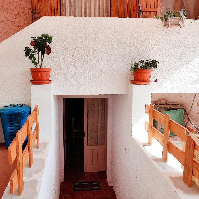 Alghero Guest House, Oasi tra gli Ulivi con Piscina e Fresche Suites in Seminterrato - Appartamento con 2 Camere da Letto e Terrazza - 20