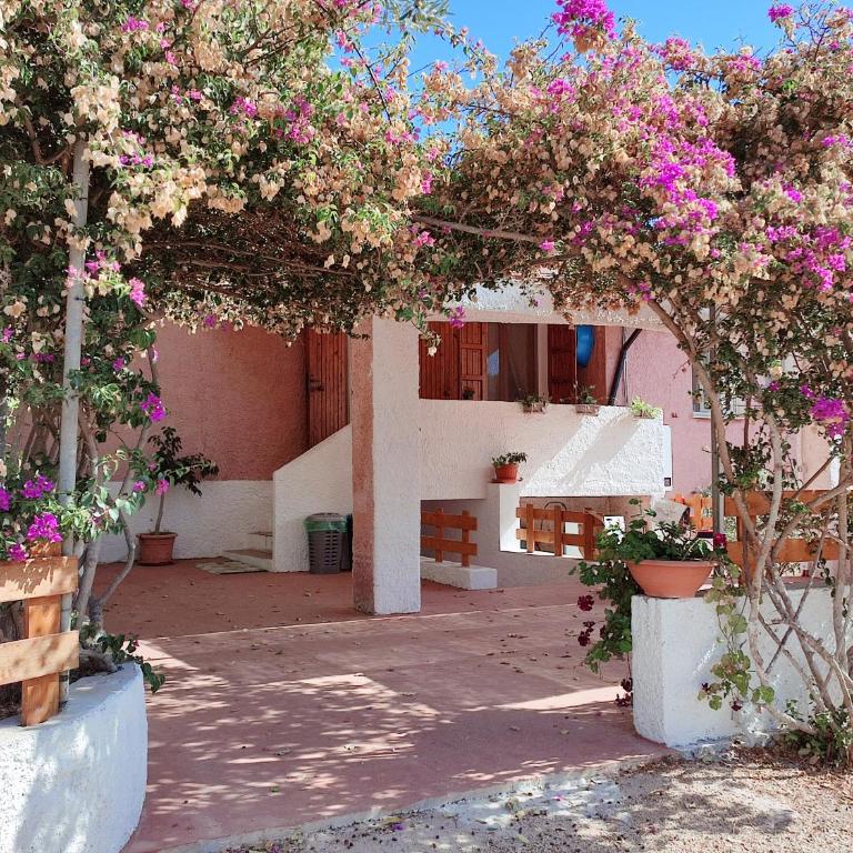 Alghero Guest House, Oasi tra gli Ulivi con Piscina e Fresche Suites in Seminterrato - Appartamento con 2 Camere da Letto e Terrazza - 4