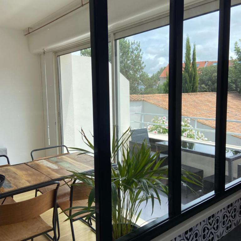 Centre-ville au calme grand T2 avec terrasse - Appartement 1 Chambre - 5