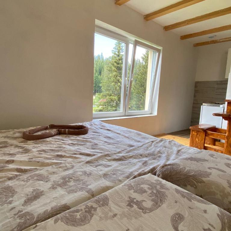 Apartment Durmitor - Studio with Balcony - 8