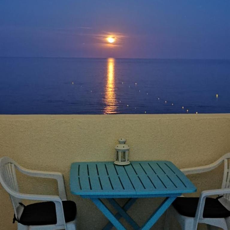 Studio Le Grand Bleu Fshh - Appartement - 2