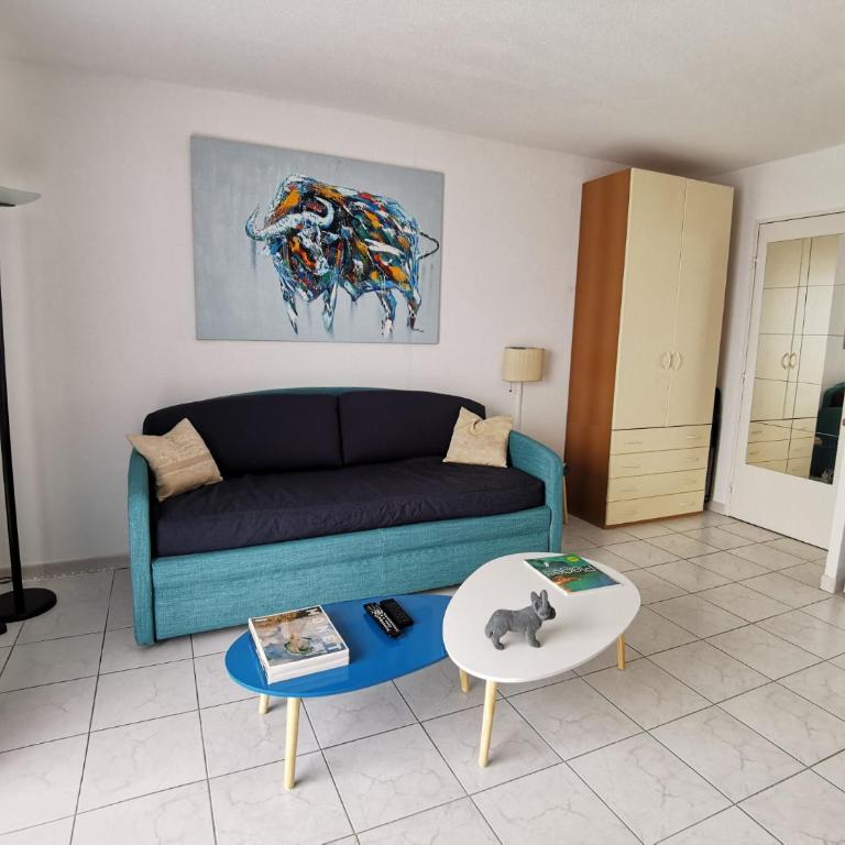 Studio Le Grand Bleu Fshh - Appartement - 14