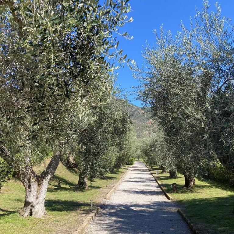 Sant'Anna del Volterraio - I Lecci 6 - Appartamento con 3 Camere da Letto - 43