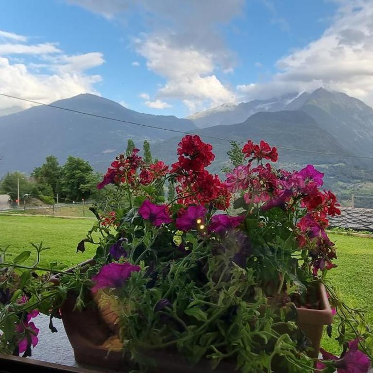Lo Noyer et les Roses - Camera Matrimoniale/Doppia con Letti Singoli con Vista Montagna - 3
