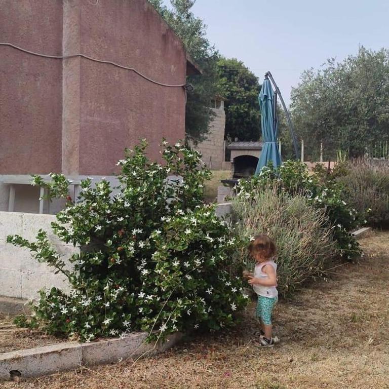 Alghero Guest House, Oasi tra gli Ulivi con Piscina e Fresche Suites in Seminterrato - Appartamento con 2 Camere da Letto - 5