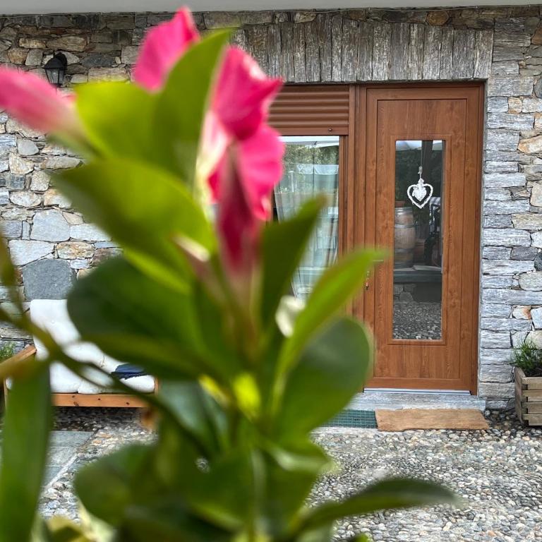 Casa Mimosa - Appartamento con 1 Camera da Letto - 15