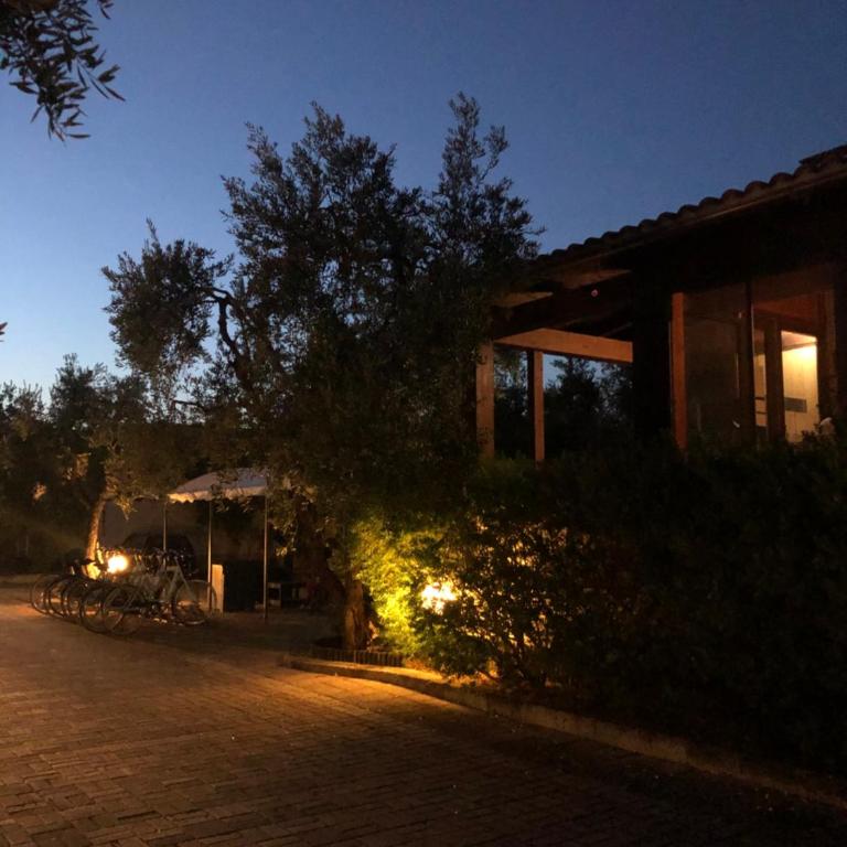Tenuta Montincello - Casa con 1 Camera da Letto - 15
