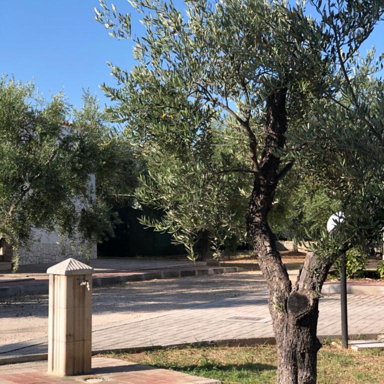 Tenuta Montincello - Casa con 1 Camera da Letto - 18