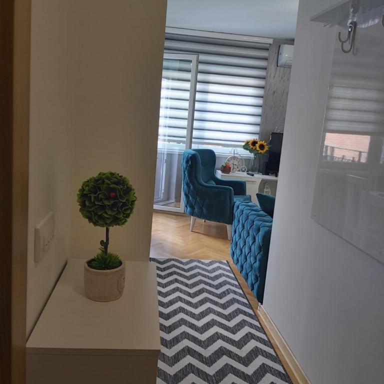 Dora Lux & Free Indoor Parking - Deluks Apartman s 1 Spavaćom Sobom - 7